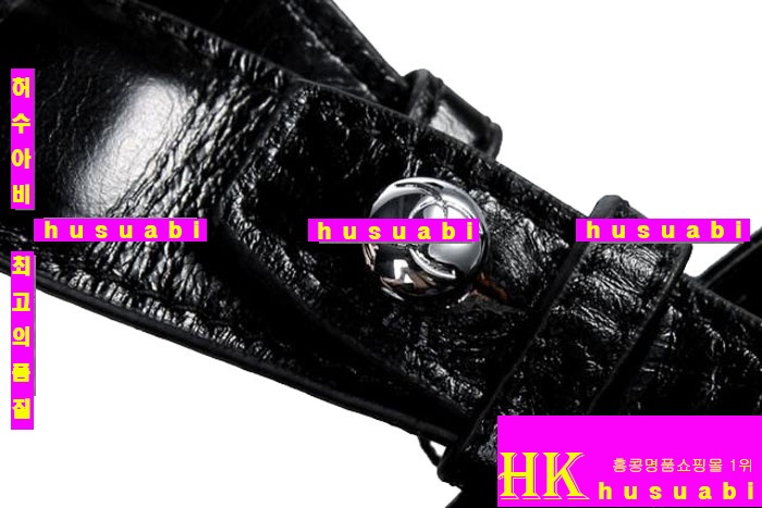 ���� ���� ����� CH-A61031 ����