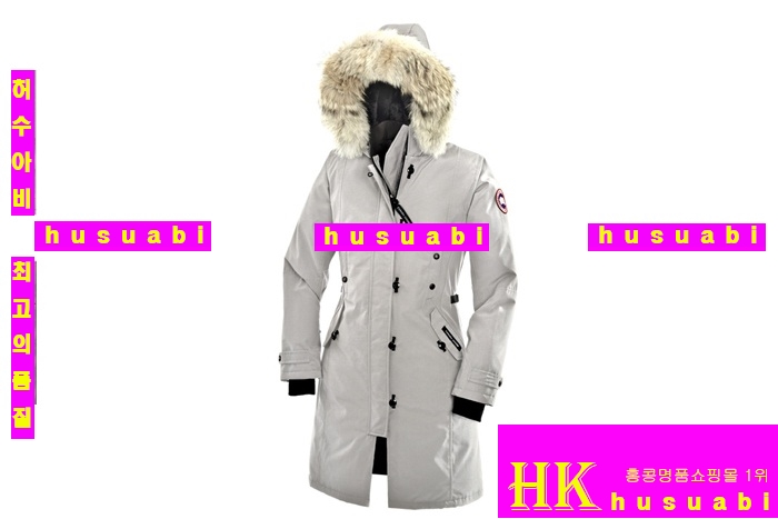  ĳ���ٱ��� �˽���-������SL55-1