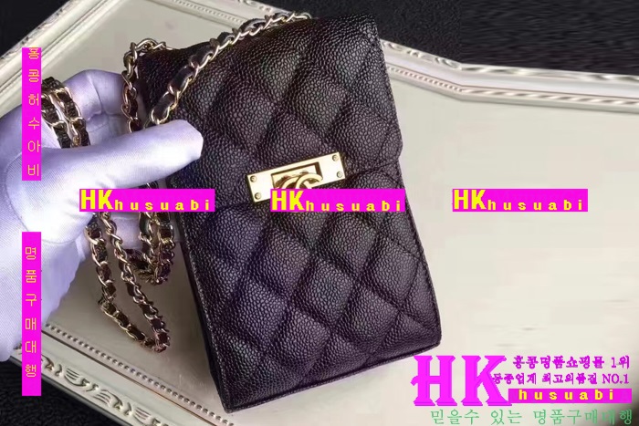 ���� ����Ż� ü�ι� CH170301-4