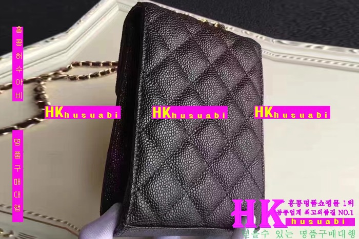 ���� ����Ż� ü�ι� CH170301-4