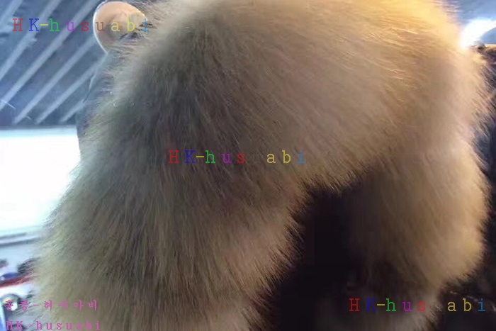 NEW ��Ŭ���� ������ ������ �е� 22109