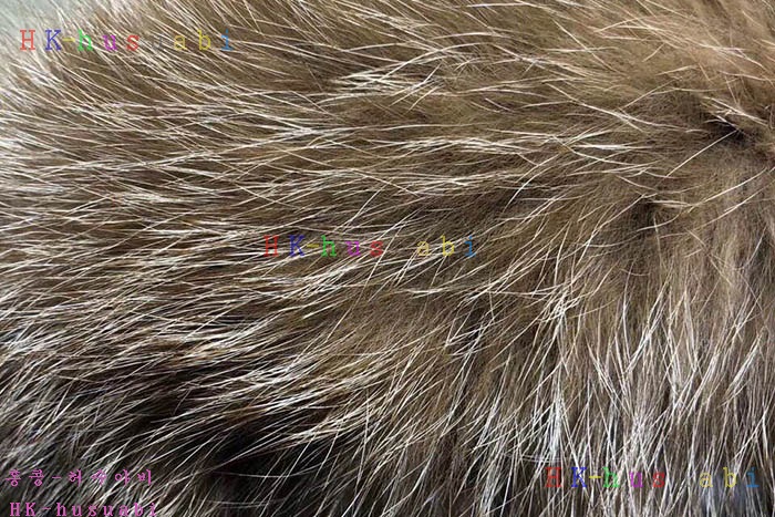 NEW ��Ŭ���� �������е� M 658035