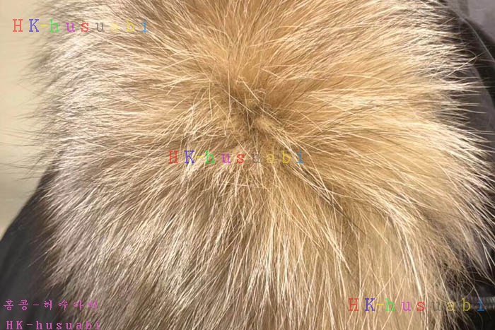 NEW ��Ŭ���� ������ �е� M 704806